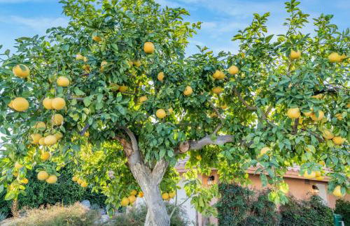 Indian Wells Saltwater Pool Home Walk 2 Tennis & Festival Shuttles - Foto 20