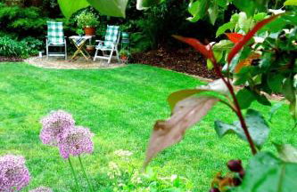 Apartment Apartment Royal by Interhome - Photo 3