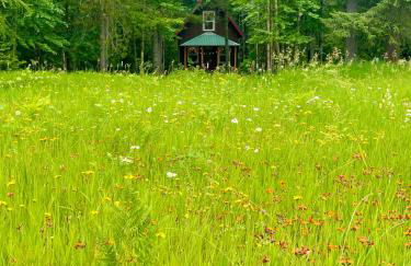 Kataluma Inn, Sandpoint, Idaho - Entire Cozy Cabin, Pet Friendly - Photo 25