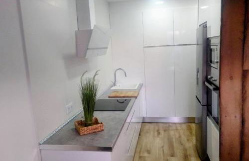 Apartamento Gaztainondoak(II)A 10min de Laguardia - Foto 10