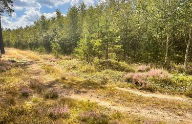 Ostoja Bukowo 12,2 chata u szôłtësa - Foto 27