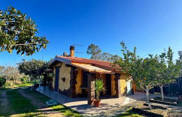 L'Uliveto HOLIDAY HOUSE - Photo 38