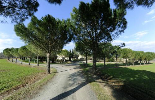 Fattoria Agriturismo Nerbona - Foto 82