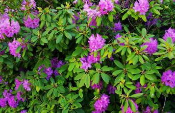 Ferienwohnung Brigitte - Photo 7