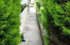 jolie appartement en rez de chaussée - Foto 2