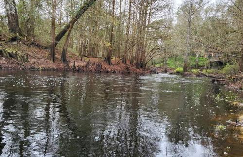 River Daze Cabin - A cozy cabin right on the river - Foto 3