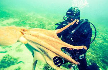 Apartments Hana - Foto 25