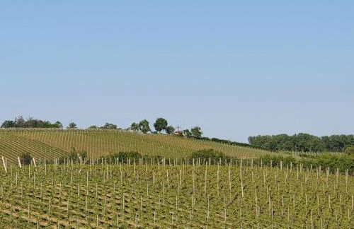 Lakeview Penthouse - Foto 39