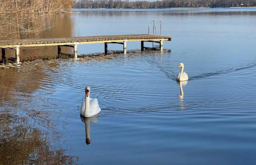 Ferienhaus Pirol - Photo 34