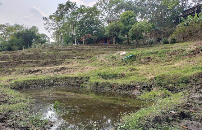 Doi Pumuen Lahu Homestay - Foto 23