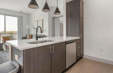 Landing Apartments near Virginia Union University - Foto 59