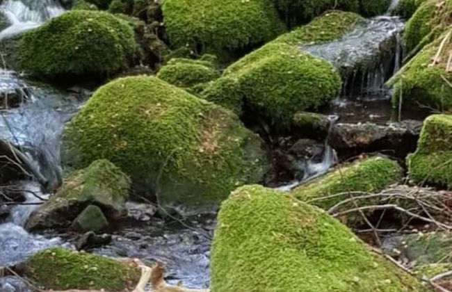 Lovely Apartment in Baden-wurttemberg - Foto 13