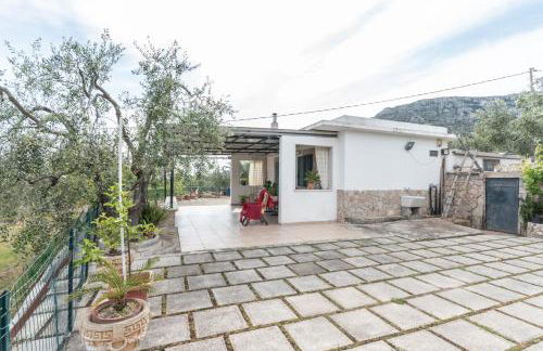 Macchia Verde - Foto 9