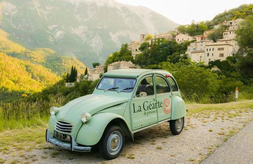 Chateau des Gipières bij de Mont Ventoux - Foto 57