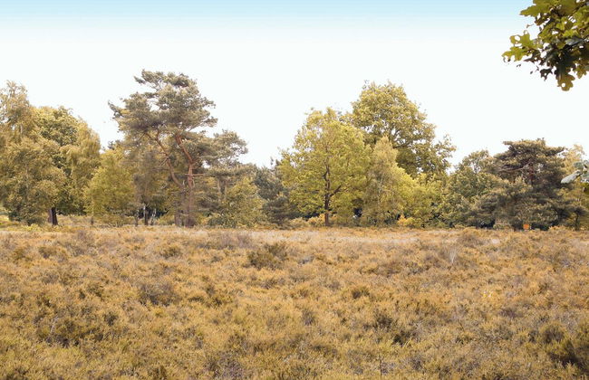 Holiday Home in the Veluwe in Nature - Foto 29