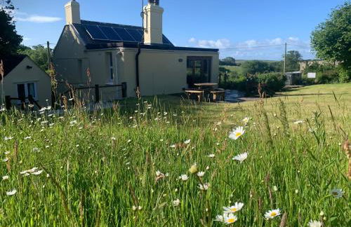 Clotted Cream Cottage Countryside calm Close to beach Dartmouth Dog Friendly - Foto 48