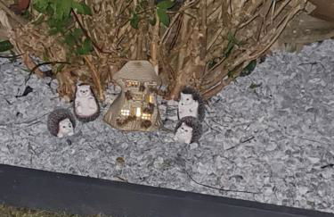 A Bright and Spacious Gem - Foto 27