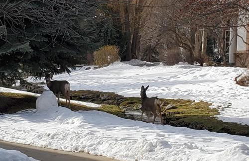 Family Getaway-Pool, Hot Spring, Scuba & Ice Castles 727 home - Foto 43