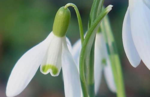 OLD CHAPEL Hayton Cumbria CA89HR - Foto 54
