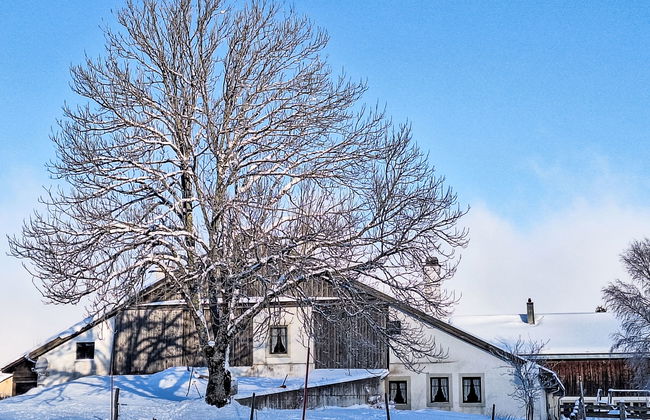 Les Grangettes - Photo 27