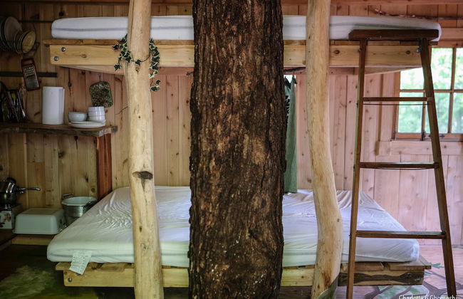 Chimo Refuges Treehouse Resort - Foto 17