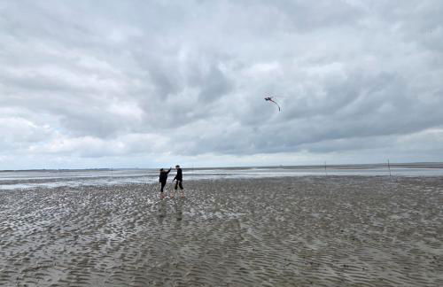 Küstenkännchen - Photo 1