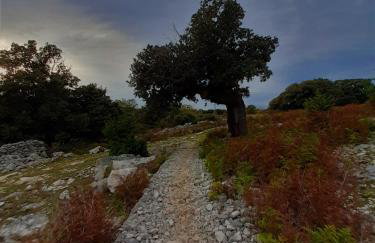 Apartmani Milena - Foto 78