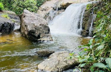 Casa do Bosque - Foto 41