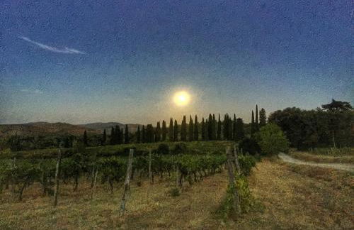 Tenuta Lupinari - Foto 46