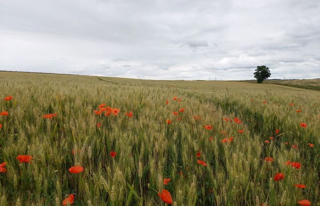 Emerald - Holiday Home for - Foto 20