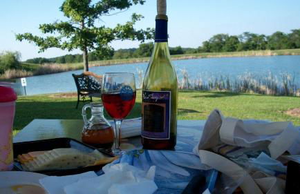 Incredible A-frame with Fabulous Panoramic Views and Hot-tub in Makanda, Illinois - Foto 10