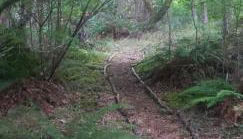 Blissful Solitude Cottage - Foto 4