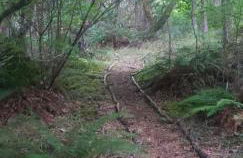 Blissful Solitude Cottage - Foto 4