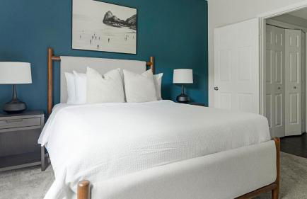 Landing Beautiful 2BD in Bee Cave - Photo 46