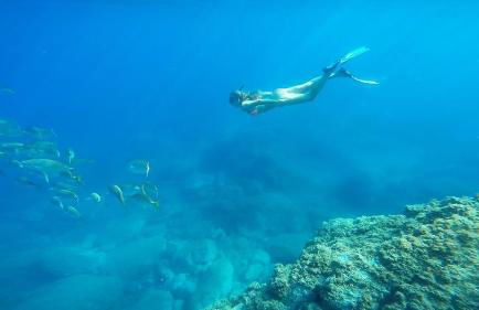 Appartement avec vue exceptionnelle sur mer - Foto 59