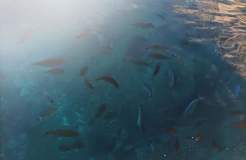 Praia Sea Home, Casa Vacanze - Foto 18