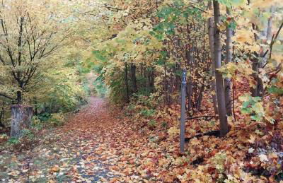 Haus Bergblick - Foto 49