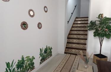 TuristicaSanJuanBautista - Foto 1