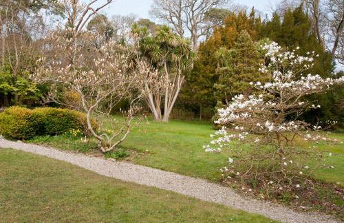 Tros Yr Afon Holiday Cottages and Manor House - Photo 14