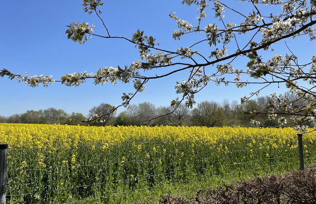 2 bedroom Apartment in Splietsdorf with garden - Photo 26