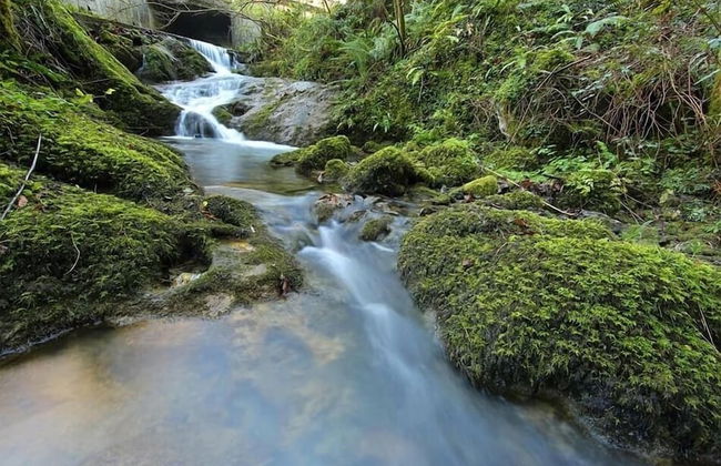 Casa Rural Goikola - Foto 28