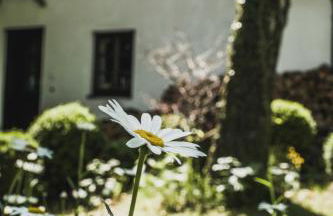 Gartenwohnung Tausendfreund am Chiemsee - Foto 20