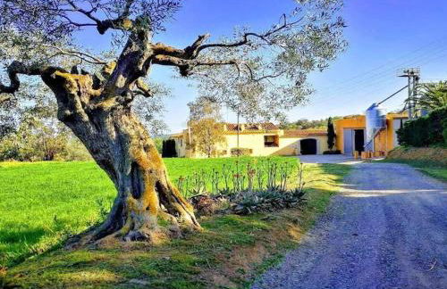 Rural Mas Hortus - Foto 30