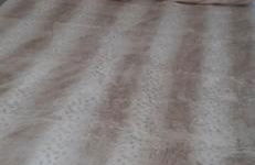 les îles d'or au port de Hyères grand studio climatisé - Foto 30