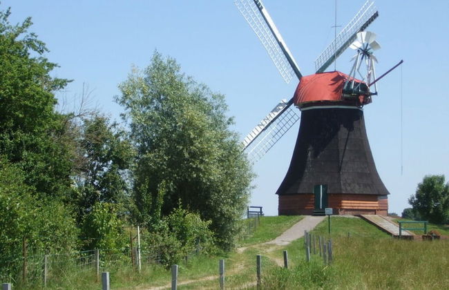 Holiday Home Hooge Warf - Foto 7