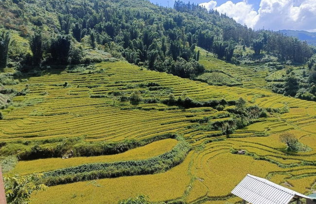 Homestay Nui Da Ta Phin - Foto 11