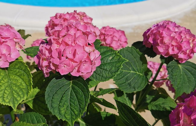 Mise Luxury Apartments - Foto 49