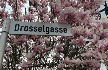 Das Pautzen Haus - Foto 35