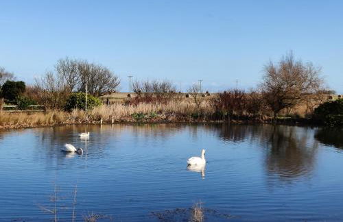 Wildflower Eco Lodges - Foto 55