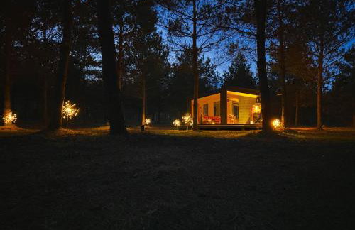 100 Drzew - Leśny Klimat Mazur - Foto 7